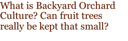 What is Backyard Orchard Culture? Can fruit trees really be kept that small?